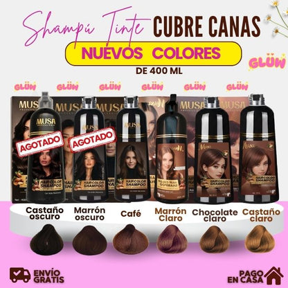 SHAMPOO TINTE CUBRE CANAS MUSA