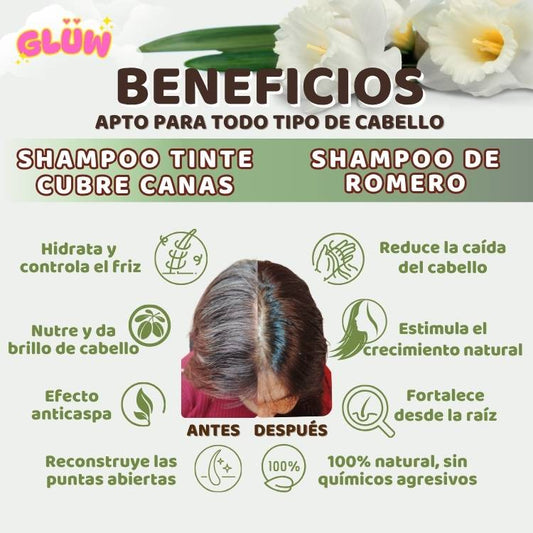 COMBO MUSA ANTICANAS + ANTICAÍDA ( SHAMPOO TINTE CUBRE CANAS 400 ML + SHAMPOO ROMERO 1 LITRO)